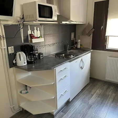 Πανσιόν The Blueberry Ροβανιέμι