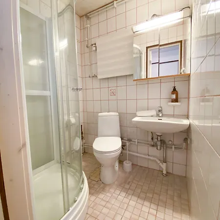 The Blueberry 3* Ροβανιέμι