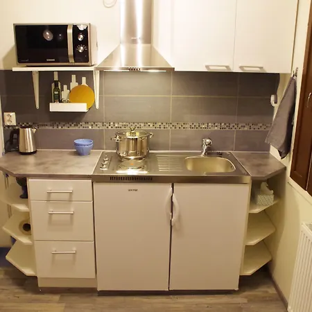 Guest house The Blueberry 3*