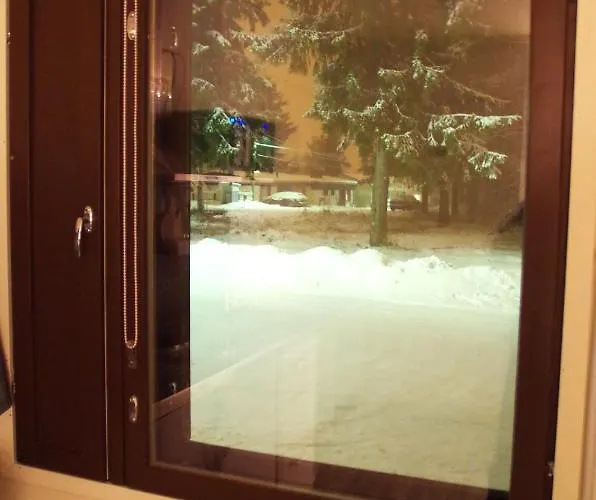 The Blueberry 招待所 罗瓦涅米