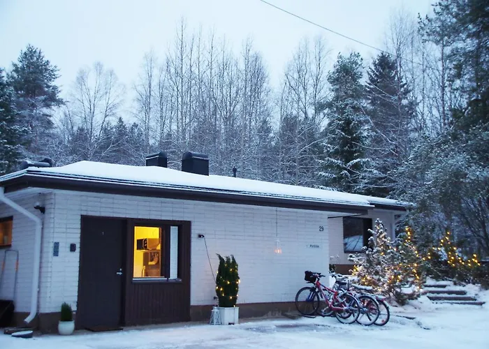 The Blueberry 招待所 罗瓦涅米