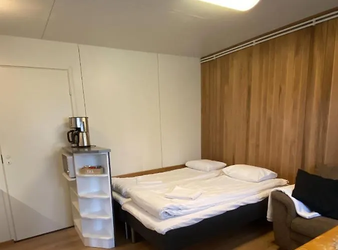 The Blueberry 3* 罗瓦涅米