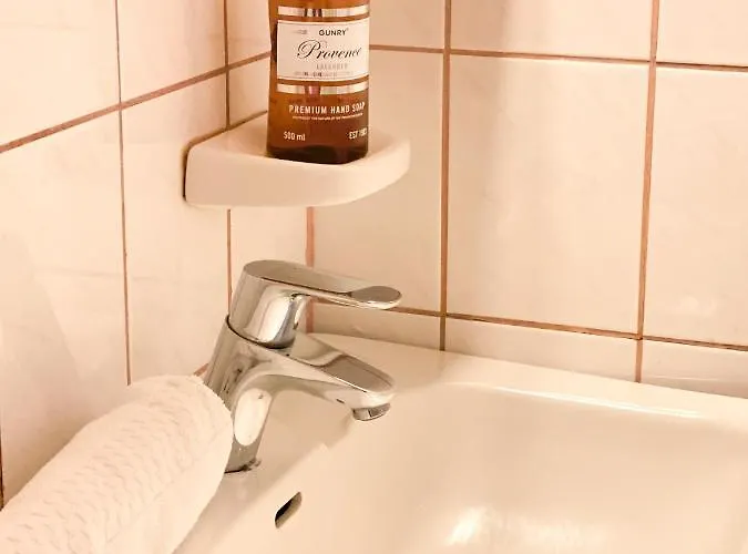 The Blueberry 招待所 罗瓦涅米