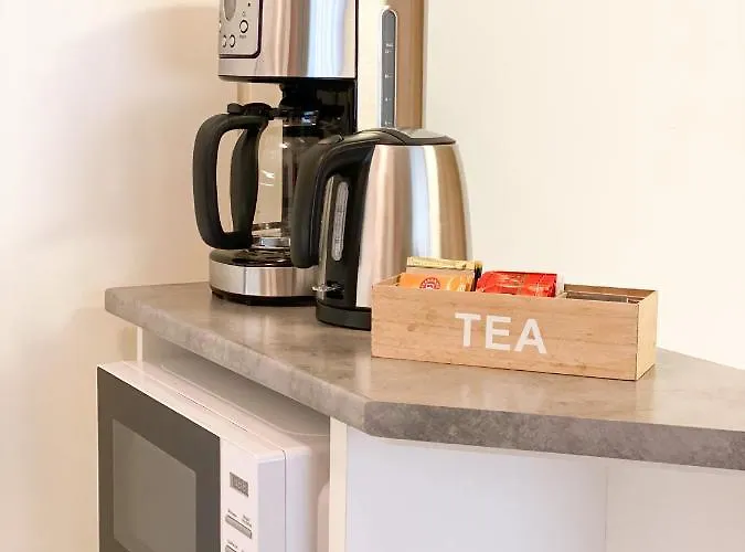 The Blueberry 招待所