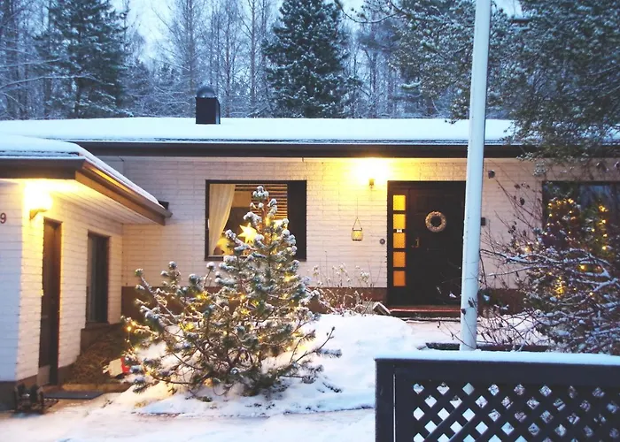 The Blueberry 罗瓦涅米