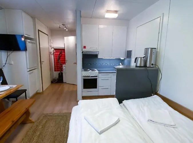 The Blueberry 3* 罗瓦涅米