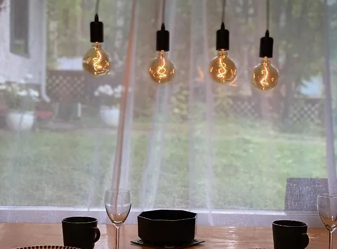 The Blueberry 招待所 罗瓦涅米