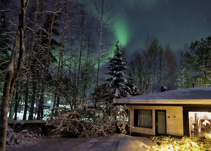 The Blueberry 招待所