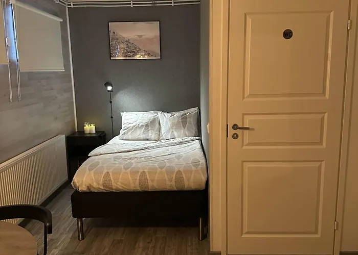 The Blueberry 3* 罗瓦涅米