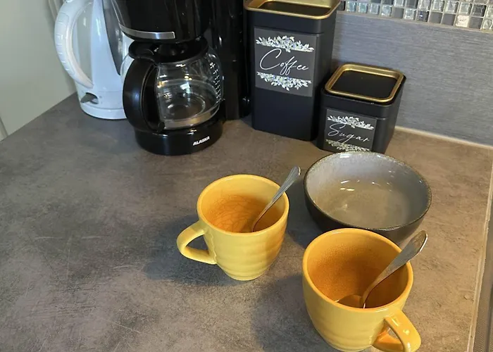 招待所 The Blueberry 3*