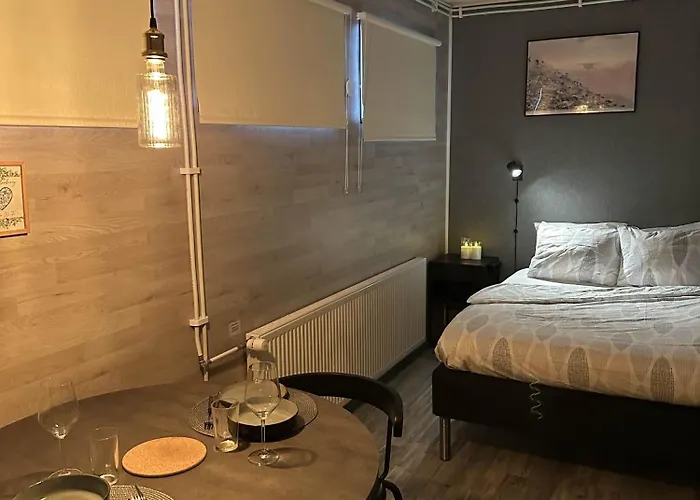 The Blueberry 3* 罗瓦涅米