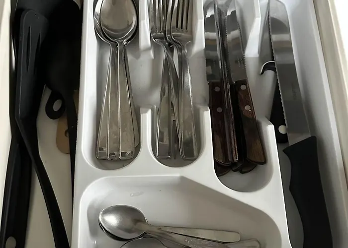 The Blueberry 招待所