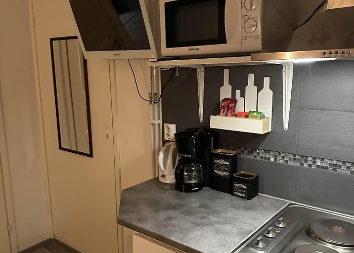 The Blueberry 招待所 罗瓦涅米