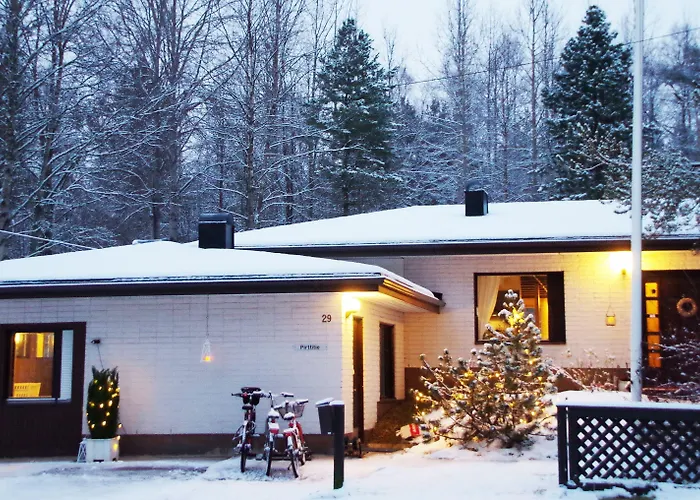 The Blueberry 招待所 3*