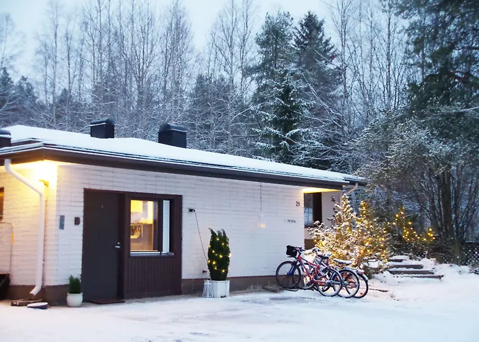 The Blueberry 3* 罗瓦涅米