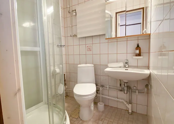 The Blueberry 3* 罗瓦涅米