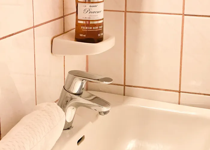 招待所 The Blueberry 3*