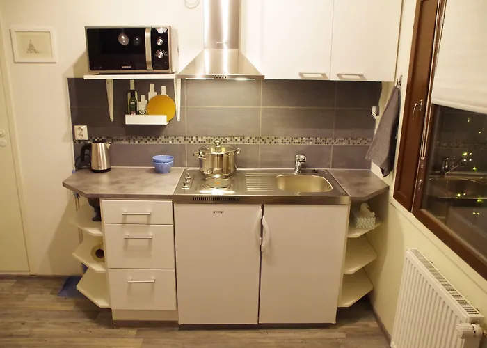 招待所 The Blueberry 3*