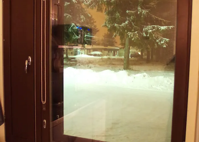 The Blueberry 招待所 罗瓦涅米